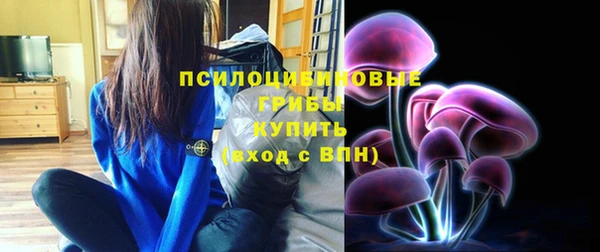 гидра Дмитров