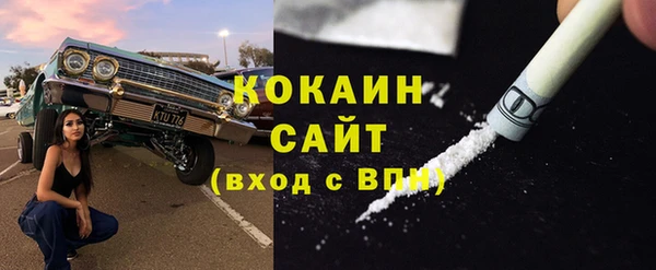 гидра Дмитров