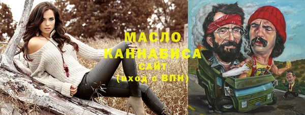 гидра Дмитров