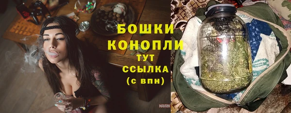 гидра Дмитров