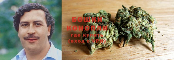 мдма Дмитриев