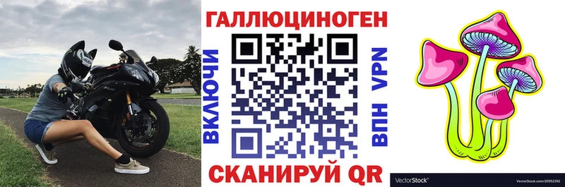 Купить  Трубчевск  Псилоцибиновые грибы Magic Shrooms