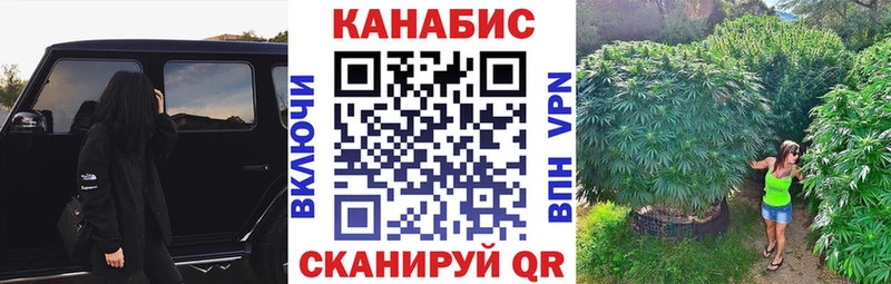 Купить закладки  Трубчевск  Конопля White Widow 